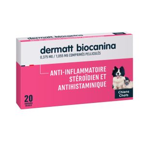 Dermatt Boite De 20 Comprimes