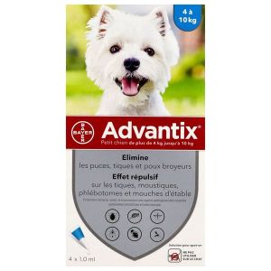 ADVANTIX PETIT CHIEN Spot on, solution cutanée antiparasitaire externe, petit chien, bt 4