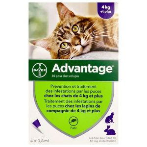 ADVANTAGE 80 CHAT ET LAPIN Spot on, solution cutanée antiparasitaire externe, pour chat et lapin, pipette 0,8 ml, bt 4