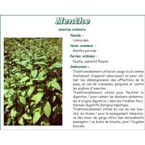 MENTHE POIVREE VITAFLOR Feuille de menthe poivrée, vrac, bt 50 g