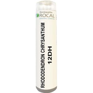 Rhododendron chrysanthum 12dh tube granules 4g rocal