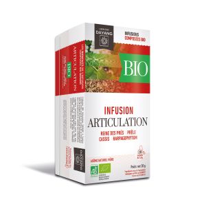 Dayang Articulation BIO - 20 infusettes