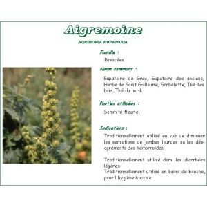AIGREMOINE VITAFLOR Sommité fleurie d'aigremoine, vrac, bt 100 g