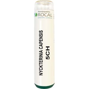 Nyckterinia capensis 5ch tube granules 4g rocal