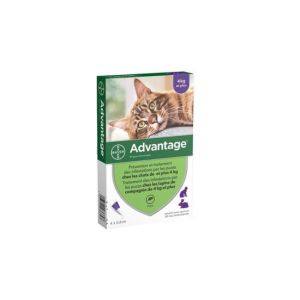 Advantage 80 Pour Chat Et Lapin (Solution Cutanee Pour Depot) Pipette 0,8 Ml 6