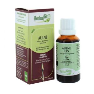 HerbalGem Aulne glutineux BIO - 30 ml