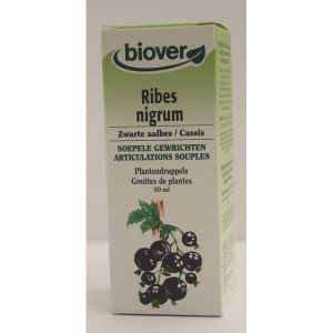 Biover Ribes Nigrum (Cassis) BIO - 50 ml
