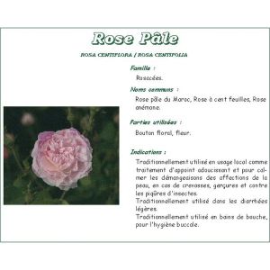 ROSE PALE BOUTON IPHYM Bouton de rose pâle, vrac, sac 250 g