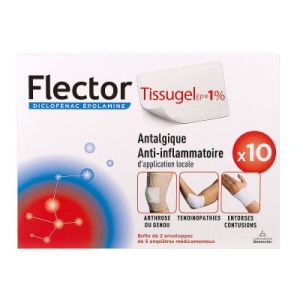 FLECTORTISSUGELEP 1% EMPLATRE MEDICAMENTEUX B/10