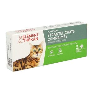 CLTK STRANTEL CHAT *2 CPS
