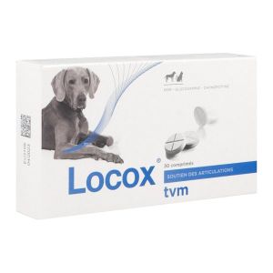 Locox Comprime 30