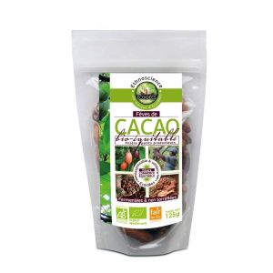 Fèves de cacao entières du Pérou BIO et équitable - sachet 125 g