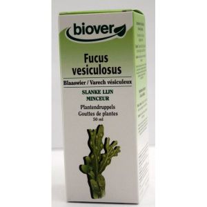 Biover Fucus Vesiculosus (Varech Vésiculeux) - 50 ml