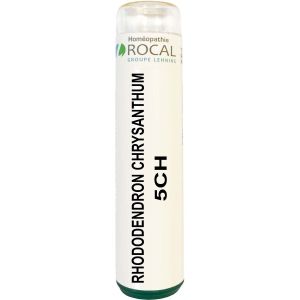 RHODODENDRON CHRYSANTHUM 5CH TUBE GRANULES 4G SACCHAROSE PUR ROCAL