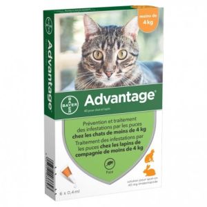 Advantage 40 Pour Chat Et Lapin (Solution Cutanee Pour Depot) Pipette 0,4 Ml 6