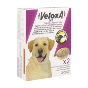 VELOXA XL CHIEN 2CP