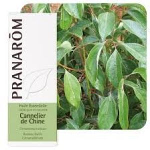 Pranarom Huile Essentielle De Cannelle De Chine Fl V 10 Ml 1