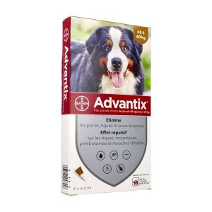 Advantix Tres Grand Chien (Solution Pour Spot On) Pipette 6 Ml 4