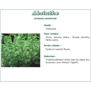 Iphym Absinthe Grande Plante Coupee 100 G 1