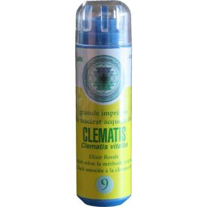 Kosmeo Clématite/Clématis 130 granules