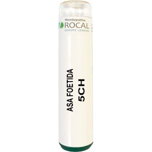 Asa foetida 5ch tube granules 4g rocal