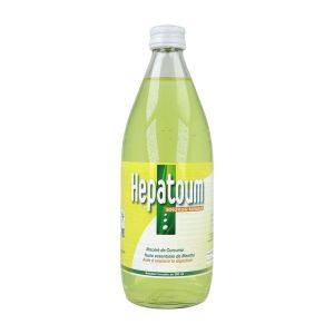 HEPATOUM SOLUTION BUVABLE Solution buvable, complément alimentaire à visée digestive, fl 550 ml