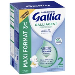 Laboratoire Gallia Galliagest Premium 2 Poudre Boite 1100 G 1