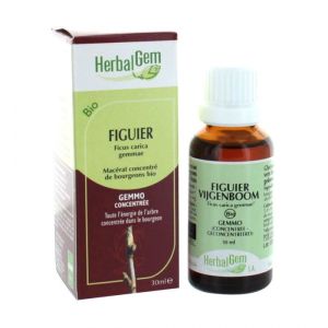 HerbalGem Figuier BIO - 30 ml