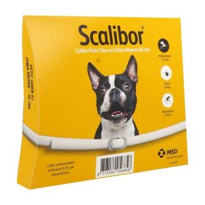 SCALIBOR Collier antitique pour chien moyen, bt 1