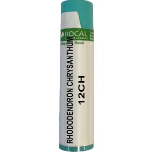 Rhododendron chrysanthum 12ch dose 1g rocal