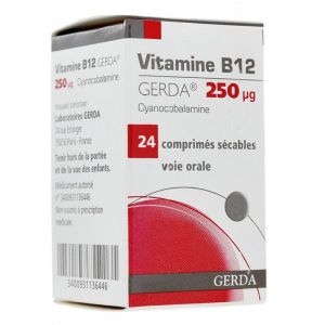Vitamine B12 Gerda 250 Microgrammes Comprime Secable B/24