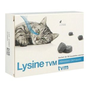 Lysine Tvm Boulette 2 G 30