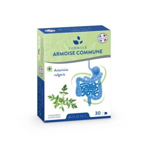 Armoise Commune 310 mg - 30 gélules