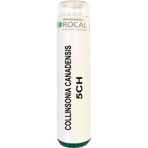 Collinsonia canadensis 5ch tube granules 4g rocal
