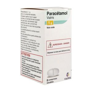 PARACETAMOL VIATRIS Comprimé sécable 1 g, boîte 1 flacon 8