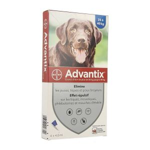 ADVANTIX GRAND CHIEN Spot on, solution cutanée antiparasitaire externe, grand chien, bt 4
