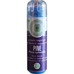 Kosmeo Pin Sylvestre/Pine 130 granules