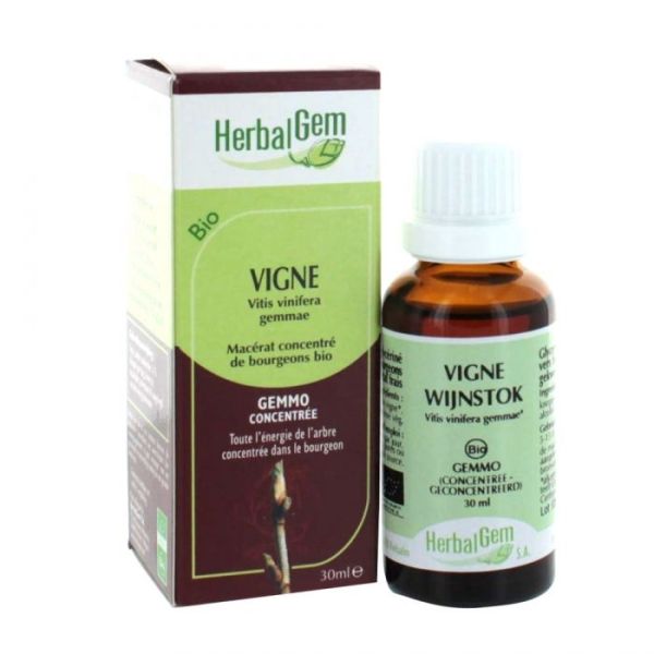 HerbalGem Vigne BIO - 30 ml