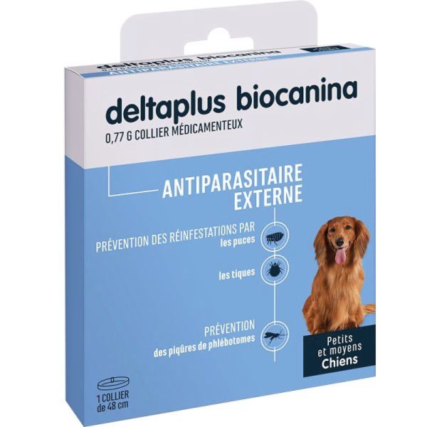 Bioseptyl Bad Rech Edith Exp Interdent 2