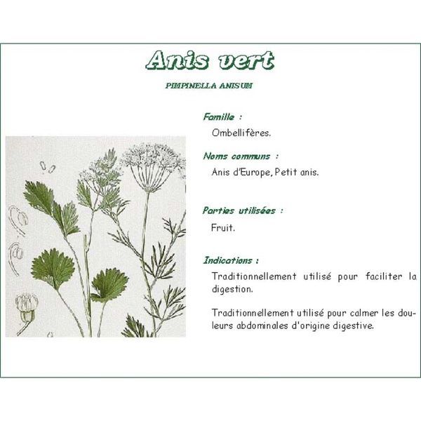 ANIS VERT D'ESPAGNE IPHYM POUDRE Poudre d'anis vert d'Espagne, sac 1 Kg