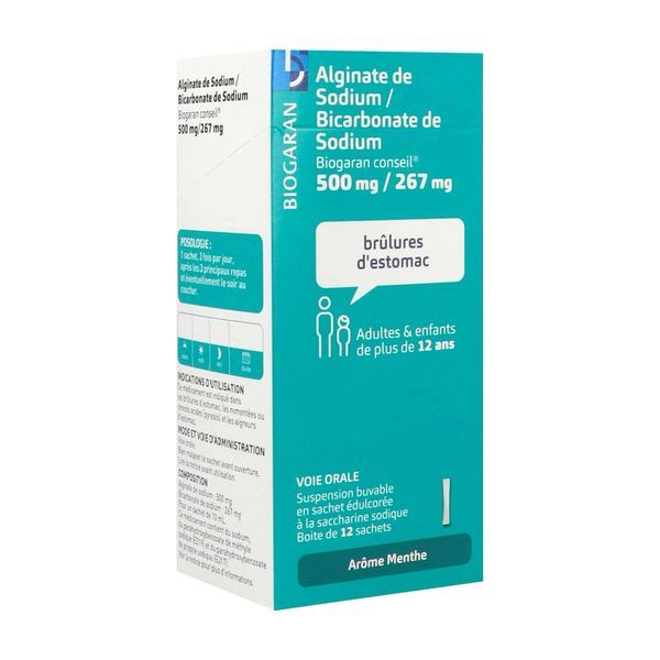 Alginate De Sodium/Bicarbonate De Sodium Biogaran Conseil 500 B/12