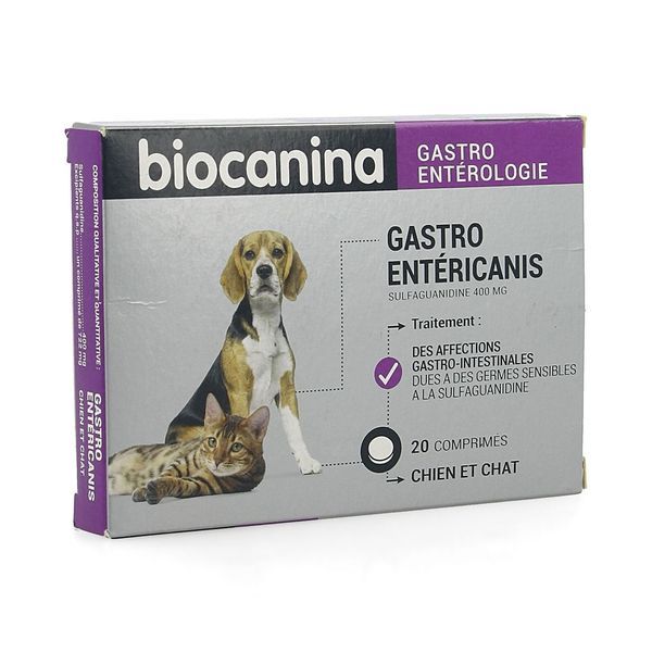 Gastroentericanis 20 Comprimes