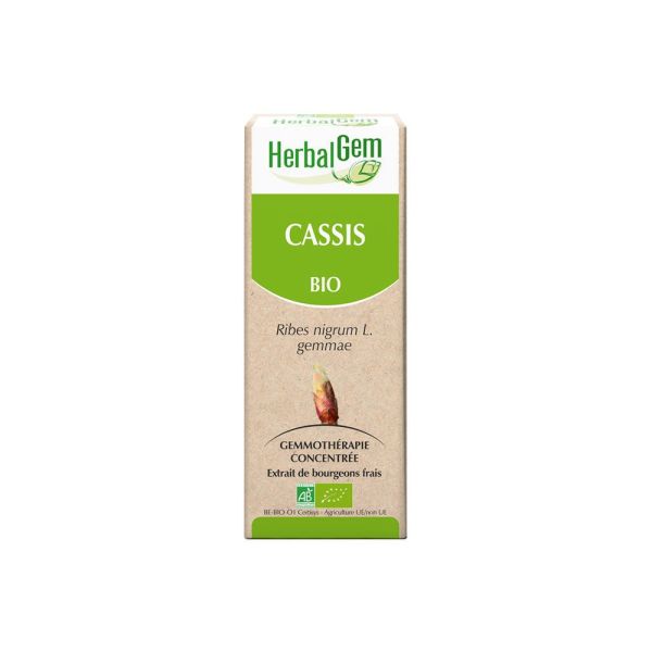 HerbalGem Cassis BIO - 30 ml