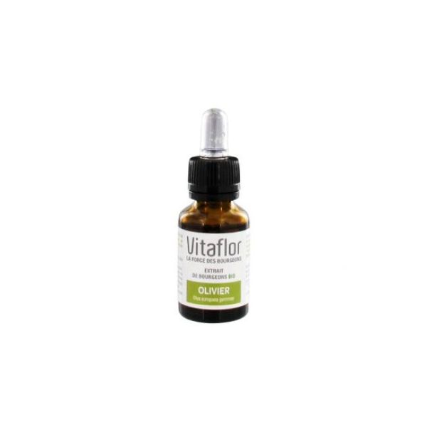 Vitaflorbio Olivier Liquide Flacon 153.5*3.5*9 Ml 1