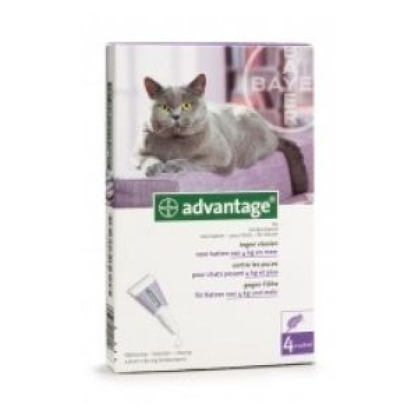 Advantage 80 Pour Chat Et Lapin (Solution Cutanee Pour Depot) Pipette 0,8 Ml 4