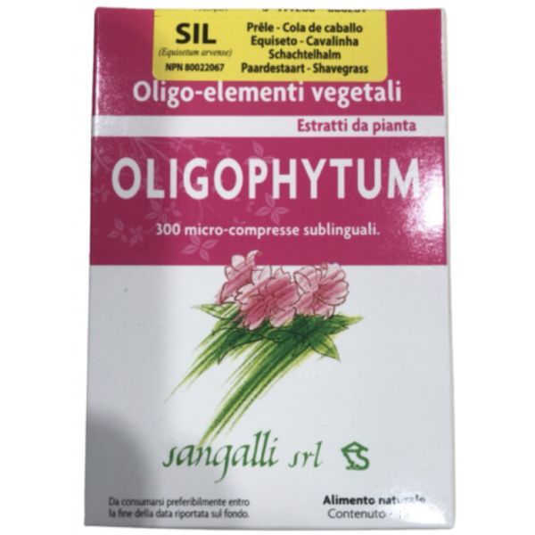 Oligophytum Silice Grl Tb 300