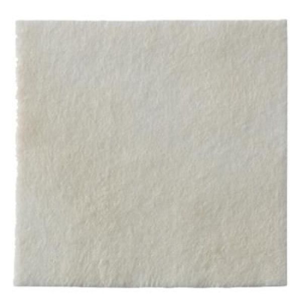 Biatain® Alginate Argent - Boîte de 10 pansements à bas d'alginate de CMC et d'argent - 15 x 15 cm Référence: 037650