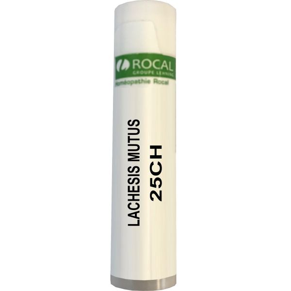 Lachesis mutus 25ch dose 1g rocal