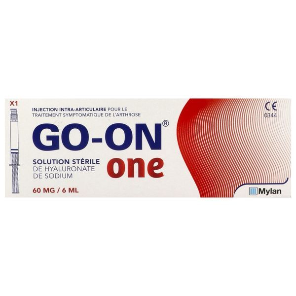 GO-ON ONE Solution stérile de hyaluronate de sodium pour injection intra-articulaire, bt 1