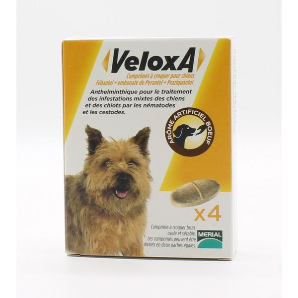 VELOXA CHIEN 4CP